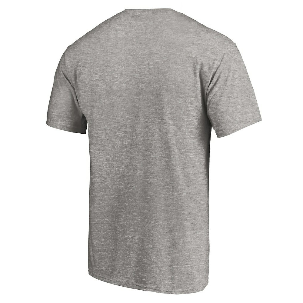 Carolina Panthers True Color T-Shirt - Heather Gray for sale