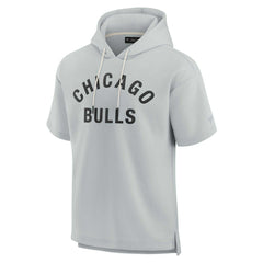 Chicago Bulls Unisex Elements Super Soft Fleece Short Sleeve Pullover Hoodie sale - Gray shop