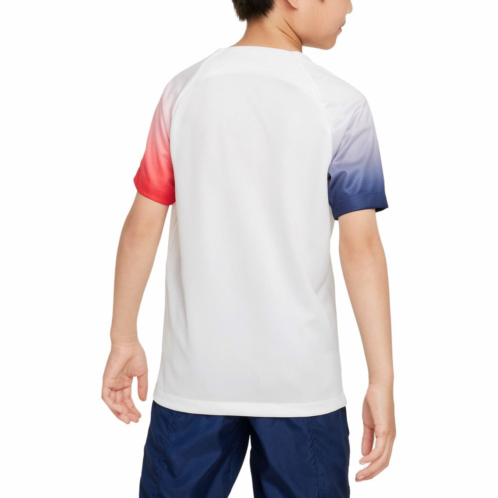 Paris Saint-Germain Youth 2023/24 Academy Pro Performance Pre-Match Top - White on sale