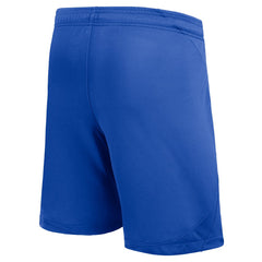 Barcelona Youth 2023/24 Away Stadium Performance Shorts - Royal shop