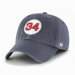 Boston Red Sox Primary Team Logo David Ortiz #34 Fitted Franchise Hat Blue
