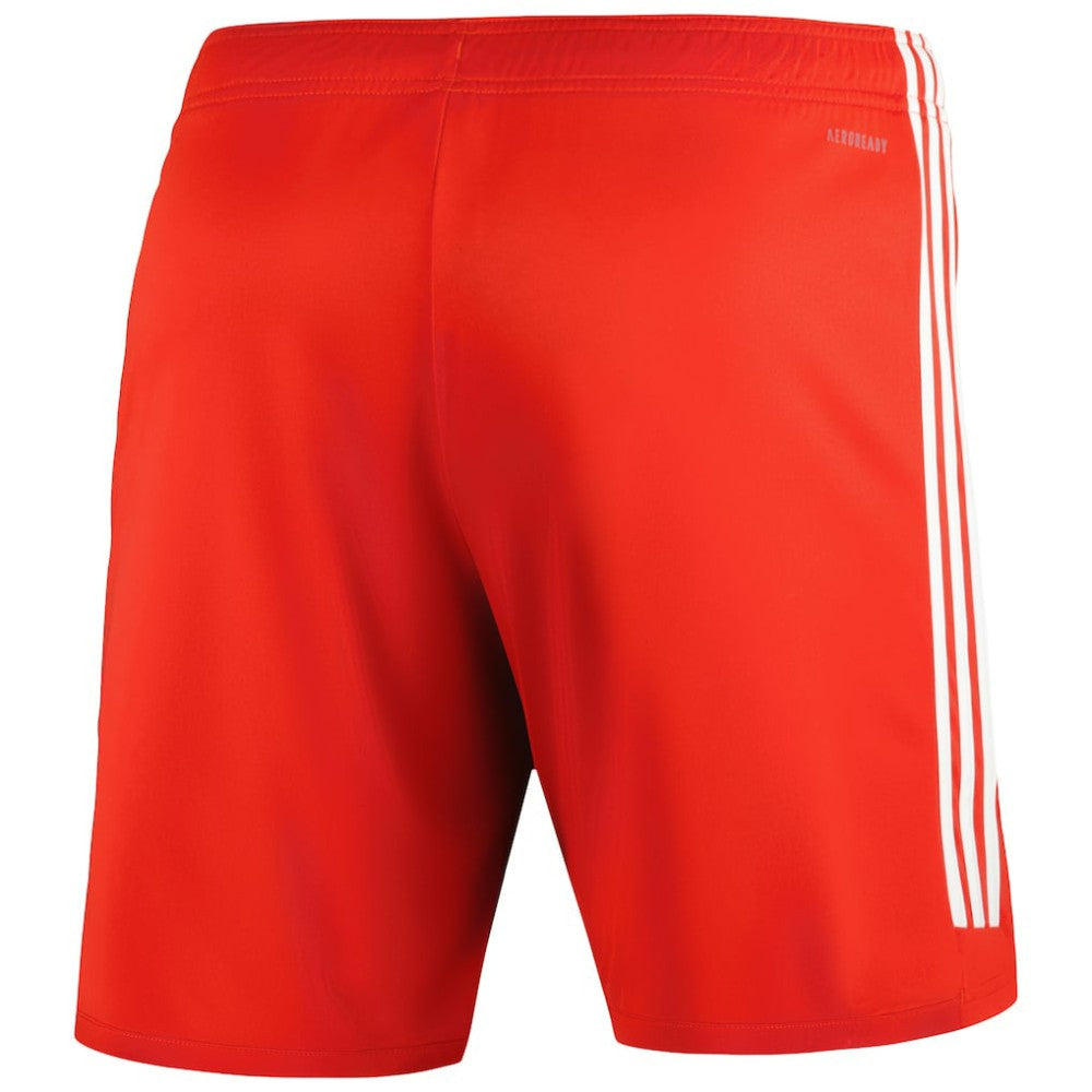 Bayern Munich 2023/24 Training Shorts - Red for sale