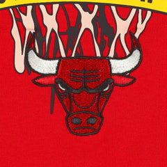 Chicago Bulls Tommy Jeans Tim Backboard T-Shirt sale - Red sale