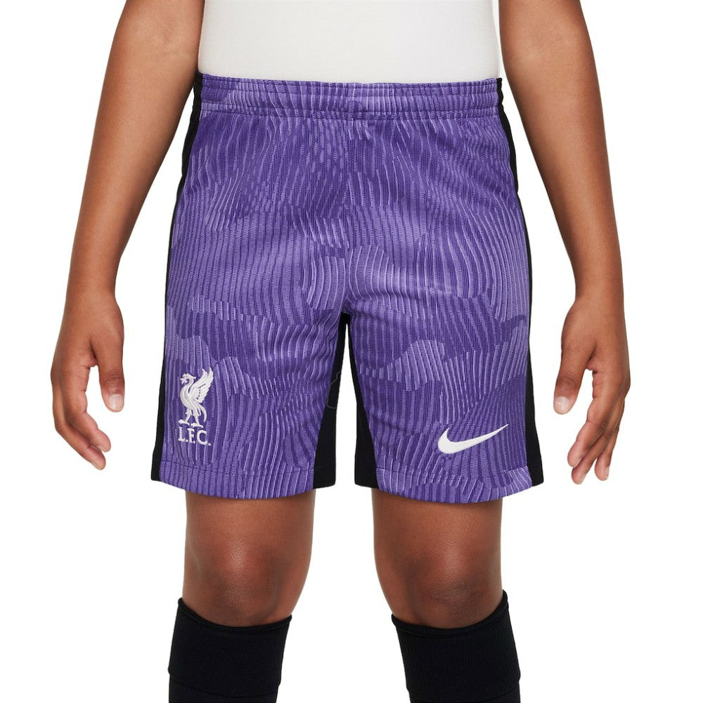 Liverpool Youth 2023/24 Third Stadium Performance Shorts - Purple outlet