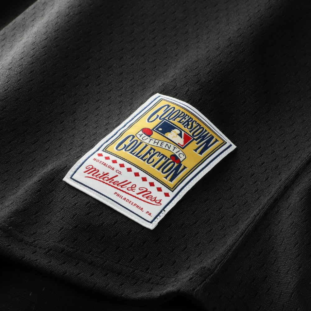 Craig Biggio Houston Astros Authentic Batting Practice Jersey Black