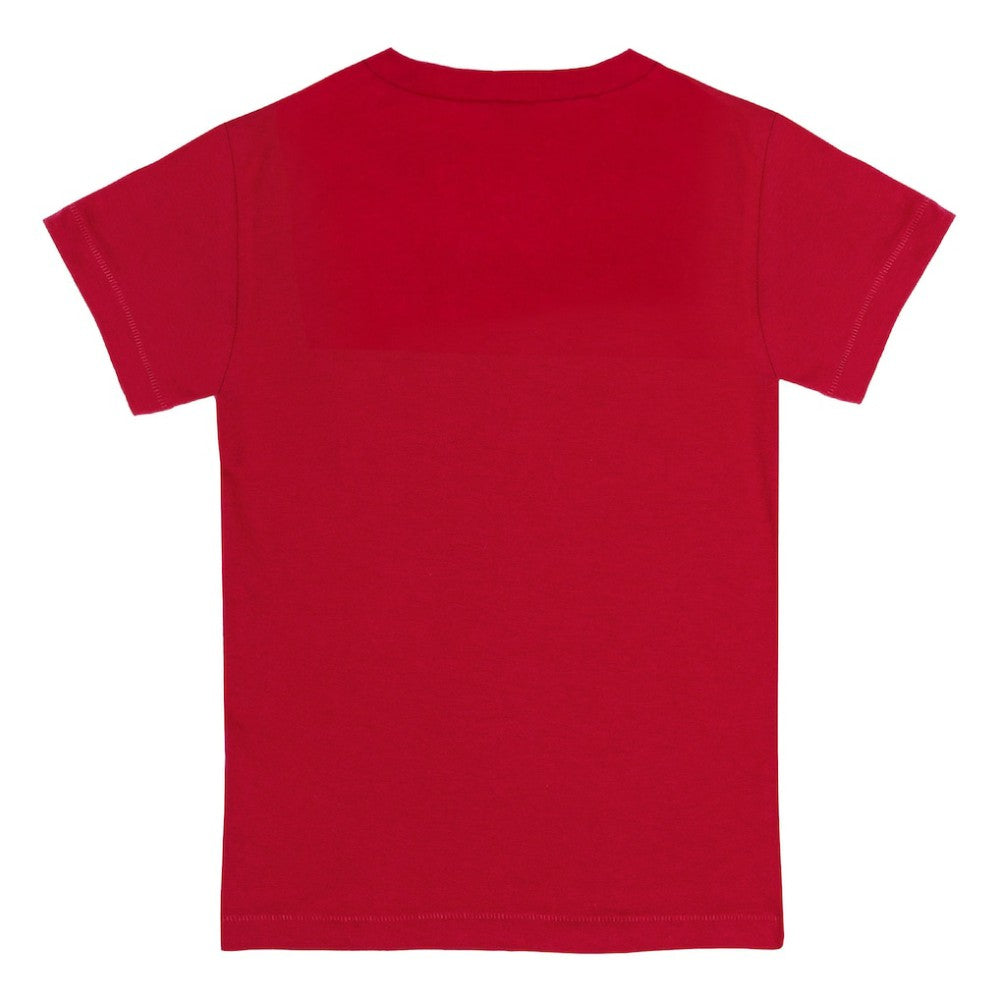 Philadelphia Phillies Tiny Turnip Youth Baseball Flag T-Shirt Red