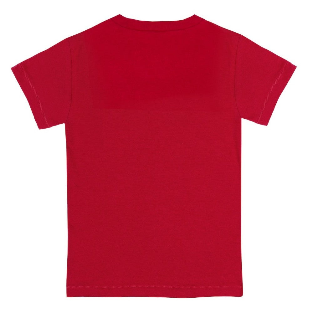 Boston Red Sox Tiny Turnip Youth Bronto T-Shirt Red