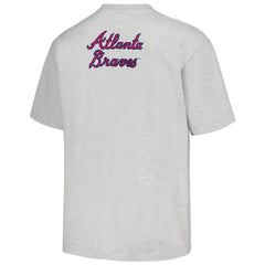 Atlanta Braves PLEASURES Mascot T-Shirt Gray