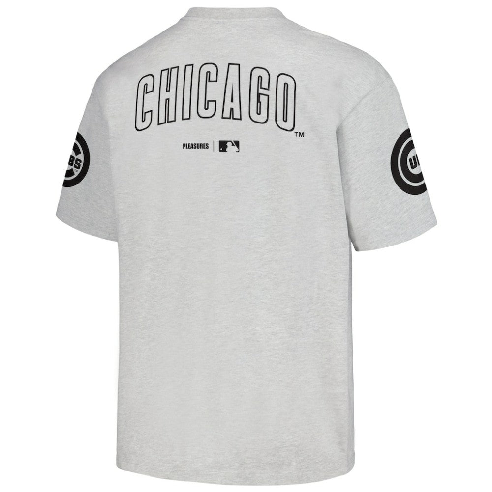 Chicago Cubs PLEASURES Team T-Shirt Gray