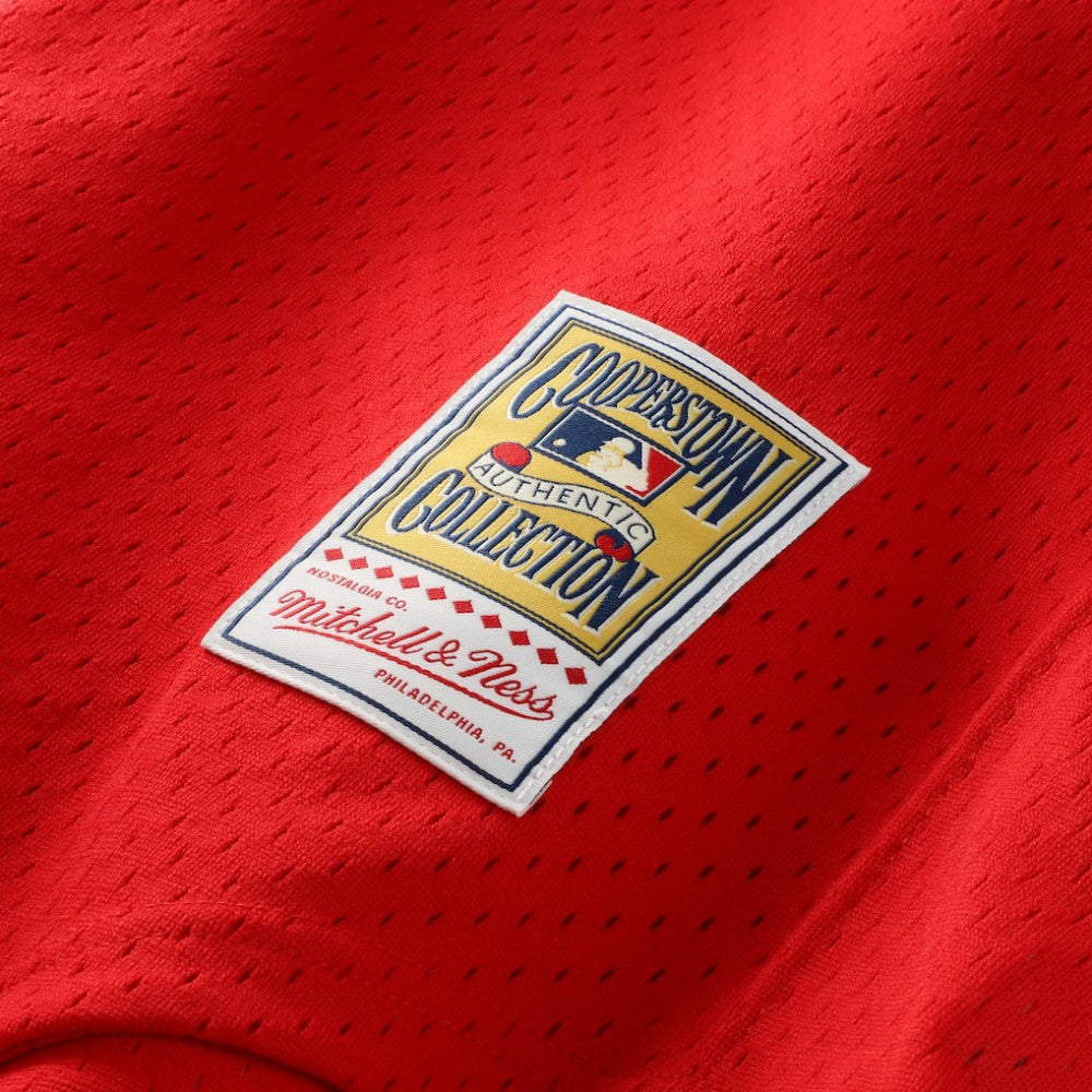 Dale Murphy Atlanta Braves Authentic Batting Practice Jersey Scarlet